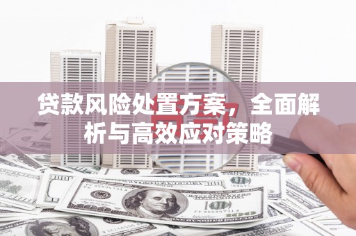 内埔贷款风险处置方案，全面解析与高效应对策略
