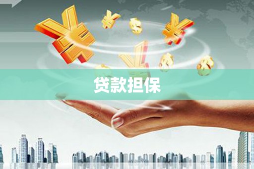 内埔贷款担保