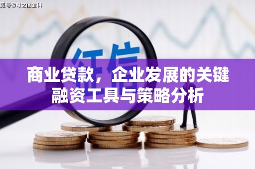 内埔商业贷款，企业发展的关键融资工具与策略分析