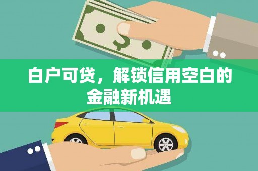 内埔白户可贷，解锁信用空白的金融新机遇