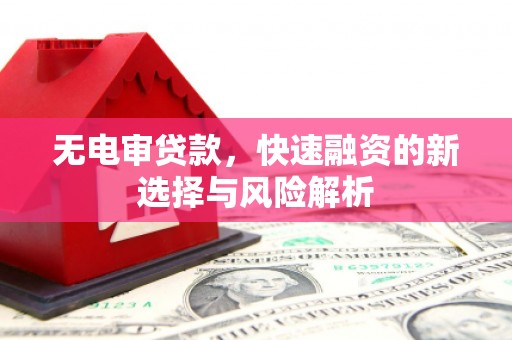 内埔无电审贷款，快速融资的新选择与风险解析
