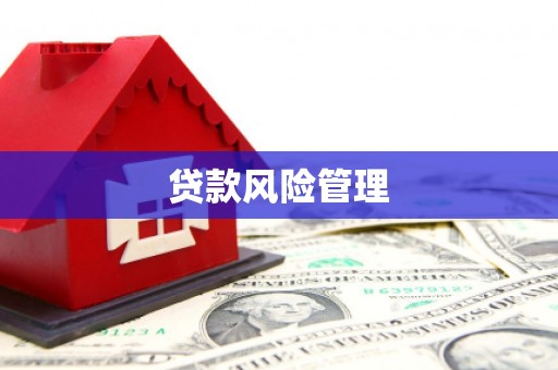 内埔贷款风险管理