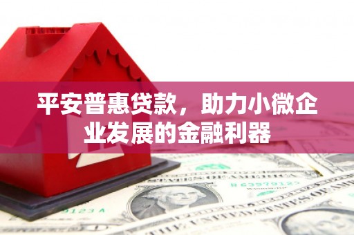 内埔平安普惠贷款，助力小微企业发展的金融利器