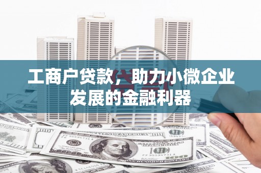 内埔工商户贷款，助力小微企业发展的金融利器