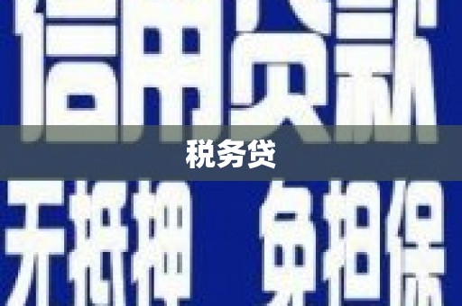 内埔税务贷