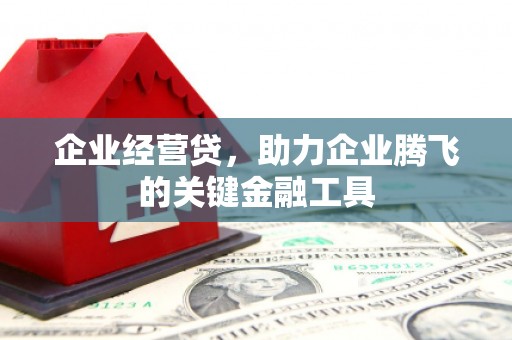 内埔企业经营贷，助力企业腾飞的关键金融工具