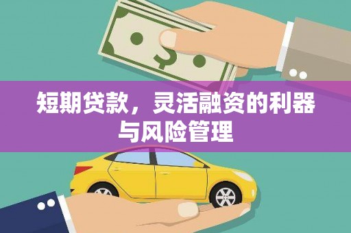 内埔短期贷款，灵活融资的利器与风险管理