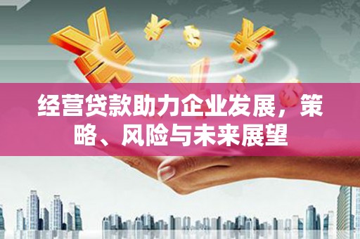 内埔经营贷款助力企业发展，策略、风险与未来展望