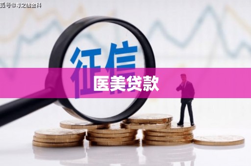 内埔医美贷款