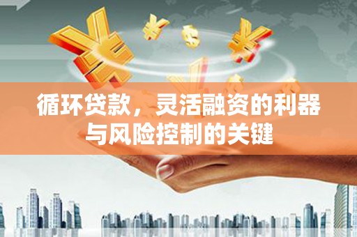 内埔循环贷款，灵活融资的利器与风险控制的关键
