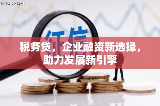 内埔税务贷，企业融资新选择，助力发展新引擎