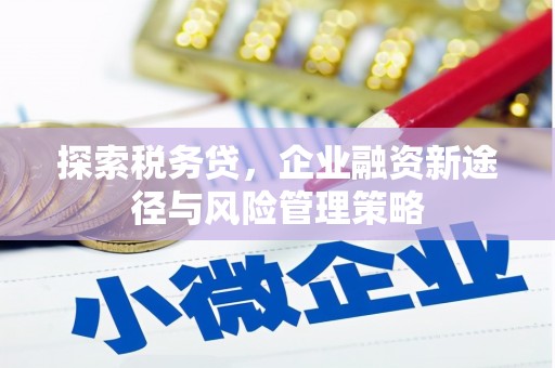内埔探索税务贷，企业融资新途径与风险管理策略