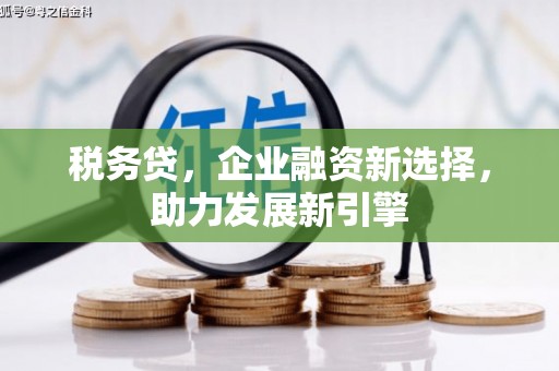 内埔税务贷，企业融资新选择，助力发展新引擎
