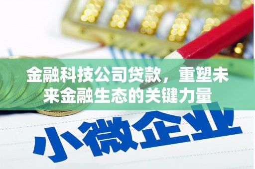 内埔金融科技公司贷款，重塑未来金融生态的关键力量
