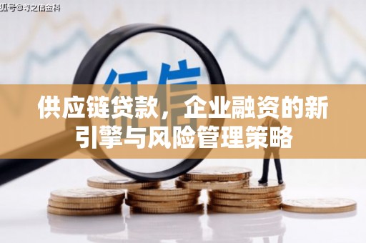 内埔供应链贷款，企业融资的新引擎与风险管理策略