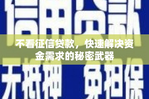 内埔不看征信贷款，快速解决资金需求的秘密武器