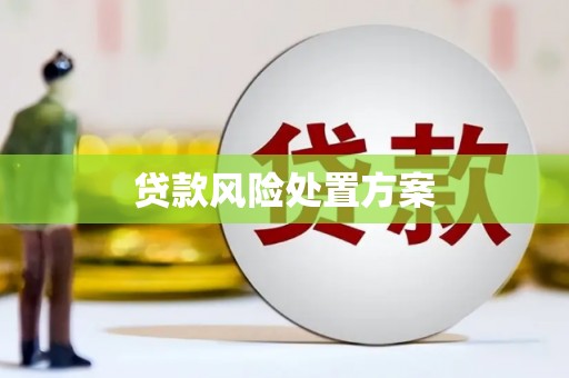 内埔贷款风险处置方案