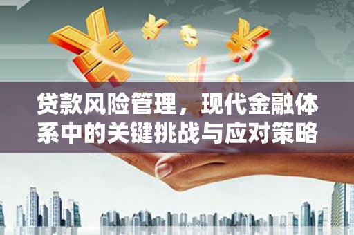内埔贷款风险管理，现代金融体系中的关键挑战与应对策略