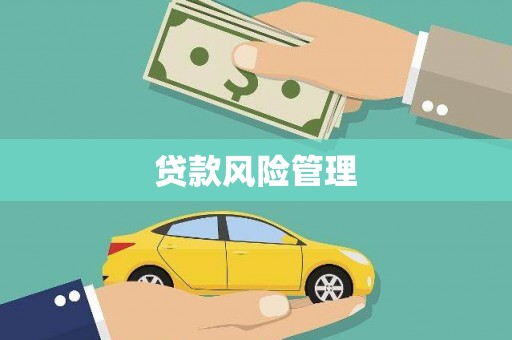 内埔贷款风险管理
