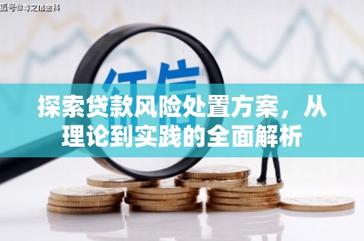 内埔探索贷款风险处置方案，从理论到实践的全面解析