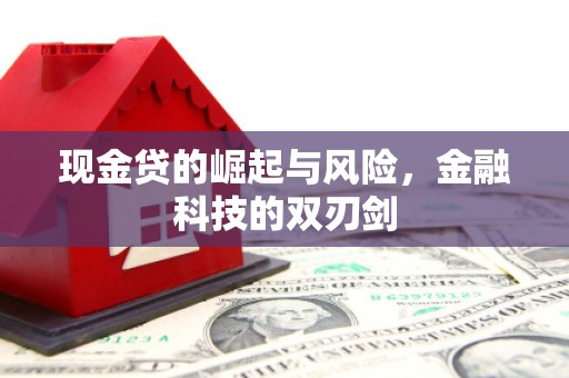 内埔现金贷的崛起与风险，金融科技的双刃剑