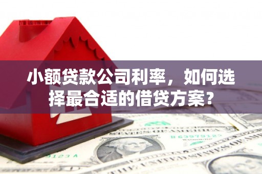 内埔小额贷款公司利率，如何选择最合适的借贷方案？