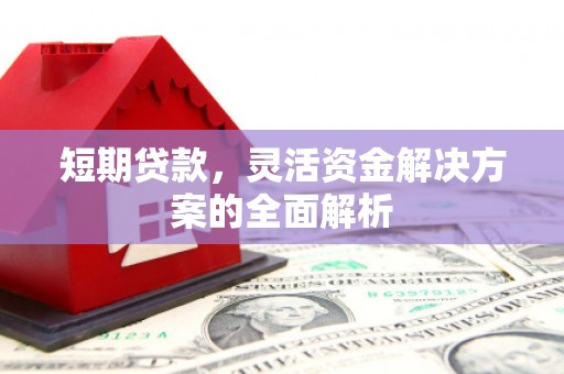 内埔短期贷款，灵活资金解决方案的全面解析