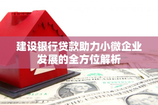 内埔建设银行贷款助力小微企业发展的全方位解析