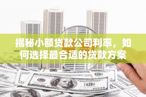 内埔揭秘小额贷款公司利率，如何选择最合适的贷款方案
