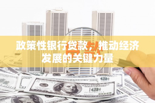 内埔政策性银行贷款，推动经济发展的关键力量