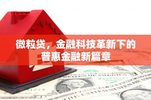 内埔微粒贷，金融科技革新下的普惠金融新篇章