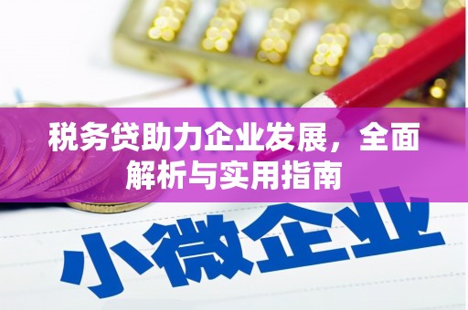 内埔税务贷助力企业发展，全面解析与实用指南