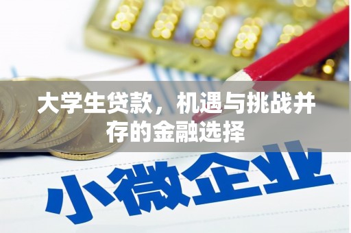 内埔大学生贷款，机遇与挑战并存的金融选择