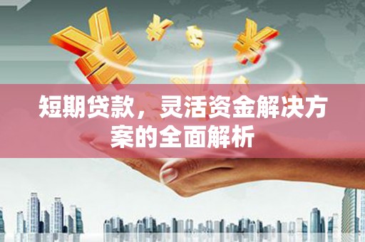 内埔短期贷款，灵活资金解决方案的全面解析