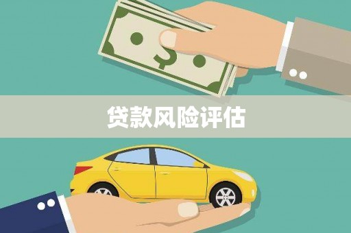 内埔贷款风险评估