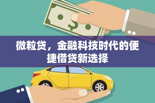 内埔微粒贷，金融科技时代的便捷借贷新选择