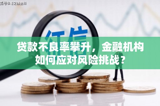 内埔贷款不良率攀升，金融机构如何应对风险挑战？