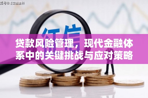 内埔贷款风险管理，现代金融体系中的关键挑战与应对策略