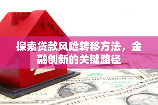 内埔探索贷款风险转移方法，金融创新的关键路径