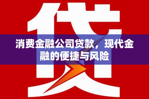 内埔消费金融公司贷款，现代金融的便捷与风险