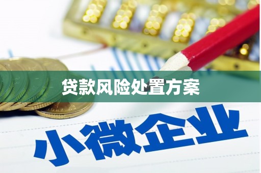 内埔贷款风险处置方案