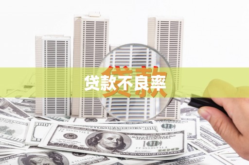 内埔贷款不良率