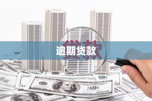 内埔逾期贷款