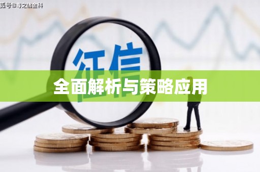 内埔全面解析与策略应用