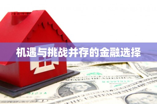 内埔机遇与挑战并存的金融选择