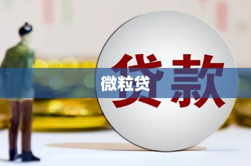 内埔微粒贷