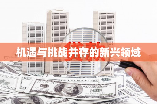 内埔机遇与挑战并存的新兴领域