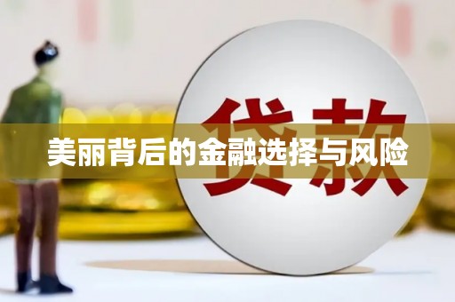 内埔美丽背后的金融选择与风险