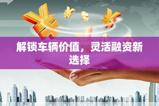 内埔解锁车辆价值，灵活融资新选择