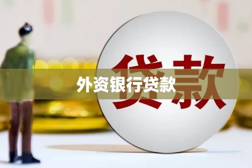 内埔外资银行贷款
